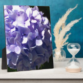 紫色の花紫のフローラ紫の水栓 フォトプラーク (側面)