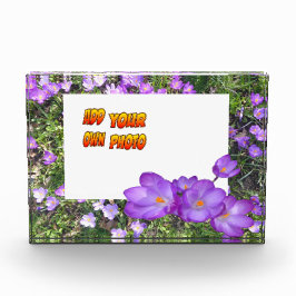 紫色の花紫色のクロシズお客様。フォトブロック フォトブロック