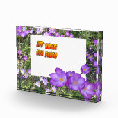 紫色の花紫色のクロシズお客様。フォトブロック フォトブロック (右)