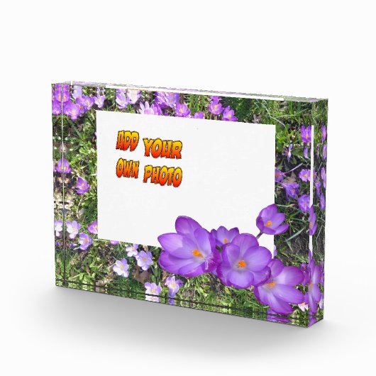 紫色の花紫色のクロシズお客様。フォトブロック フォトブロック (右)