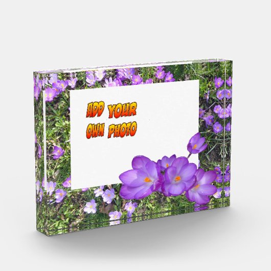 紫色の花紫色のクロシズお客様。フォトブロック フォトブロック (左)