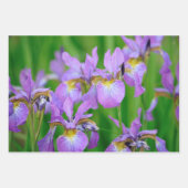 紫色の花菖蒲の花 ラッピングペーパーシート (正面3)
