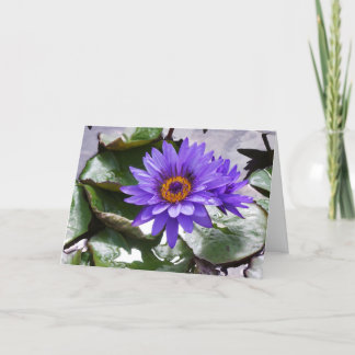 紫色の花誕生日フレームカード7 x 5 カード