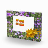 紫色の花黄色のクロセスお客様。フォトブロック フォトブロック (右)