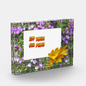 紫色の花黄色のクロセスお客様。フォトブロック フォトブロック (左)