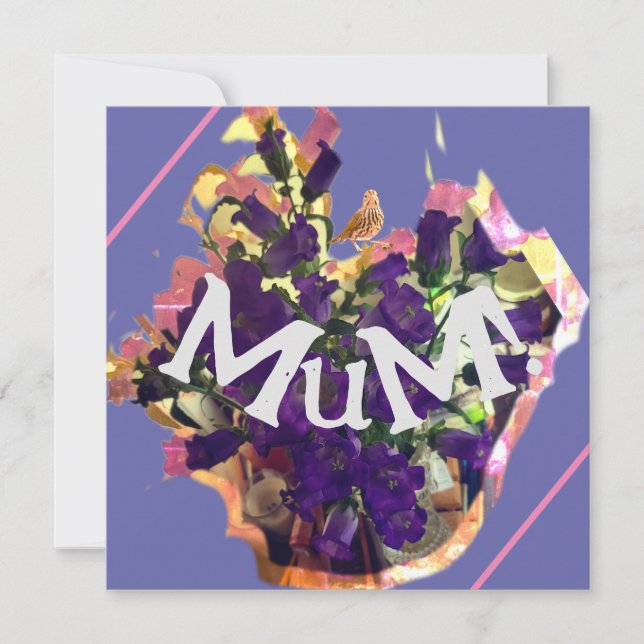 紫色の花 (正面)