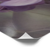 紫色の花20" x 20"、ポスター紙、半光沢 ポスター (コーナー)