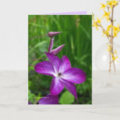 紫色の花 カード (黄色い花)