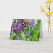 紫色の花 カード (黄色い花)