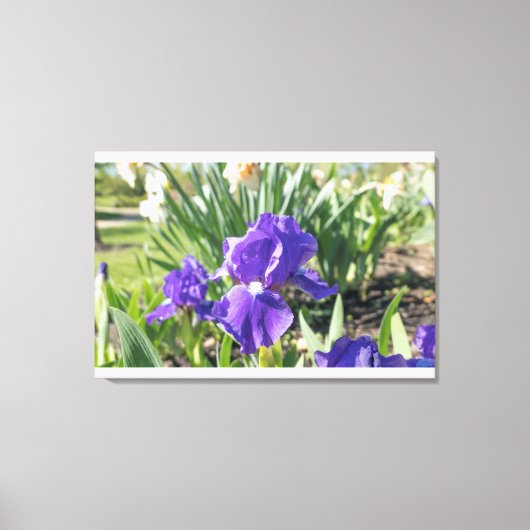 紫色の花 キャンバスプリント (正面)