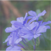 紫色の花 シール (正面)