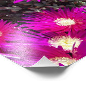 紫色の花 フォトプリント            (角)