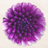 紫色の花 ペーパーコースター (正面)