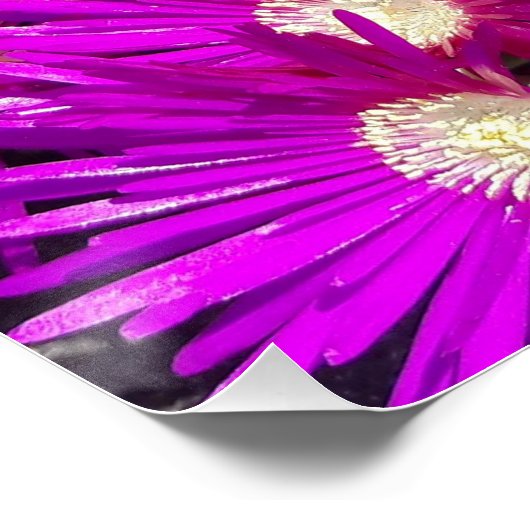 紫色の花 ポスター (コーナー)