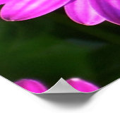 紫色の花 ポスター (角)