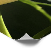 紫色の花 ポスター (角)