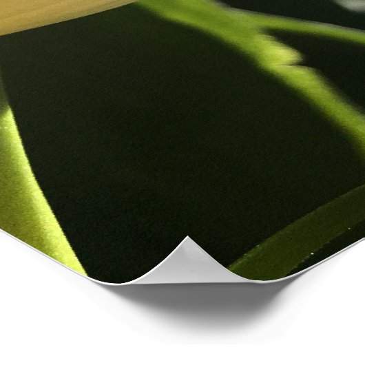 紫色の花 ポスター (角)