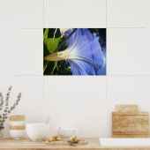 紫色の花 ポスター (キッチン)