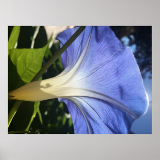紫色の花 ポスター