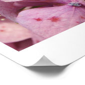 紫色の花 ポスター (角)