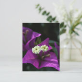 紫色の花 ポストカード (スタンド正面)