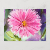 紫色の花 ポストカード (裏面)