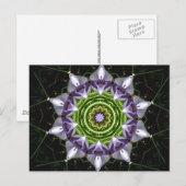 紫色の花 ポストカード (正面/裏面)