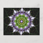 紫色の花 ポストカード (正面)
