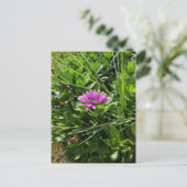 紫色の花 ポストカード (スタンド正面)