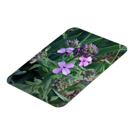 紫色の花 マグネット (左側)