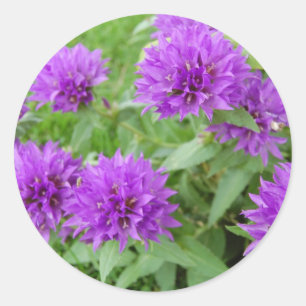 紫色の花 ラウンドシール