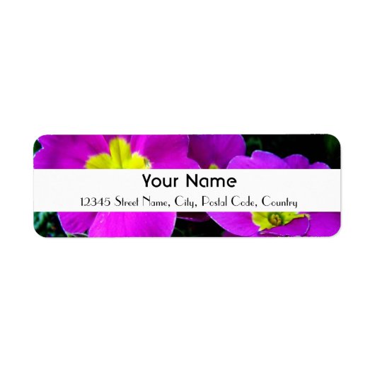 紫色の花 ラベル (正面)