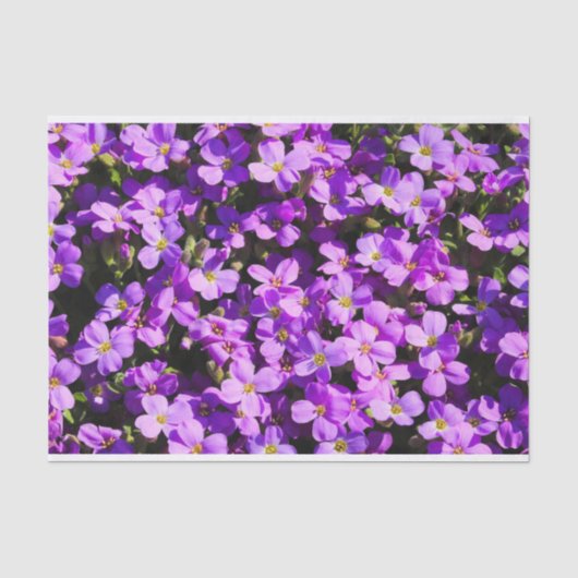 紫色の花 薄葉紙 (正面)