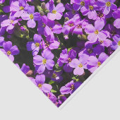 紫色の花 薄葉紙 (詳細)