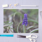 紫色の花 薄葉紙 (クラフト)