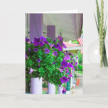 紫色の花 – Martha's Vineヤード