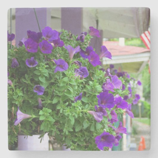 紫色の花 – Martha's Vineヤード ストーンコースター (正面)