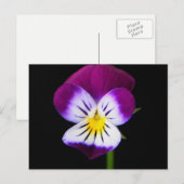 紫色の花pccnm ポストカード (正面/裏面)