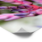 紫色の茎を持つ花 ポスター (角)