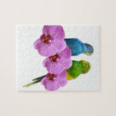紫色の蘭とのBudgie ジグソーパズル (横)