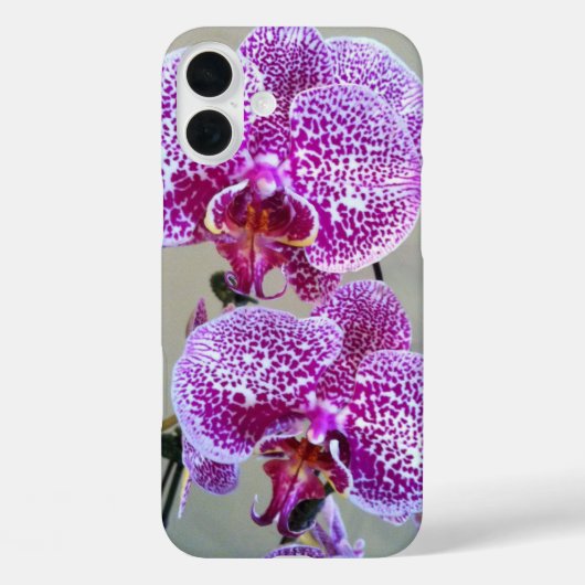 紫色の蘭のクローズアップ写真(斑入り) Case-Mate iPhoneケース (裏面)