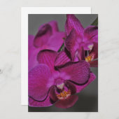 紫色の蘭 招待状 (正面/裏面)