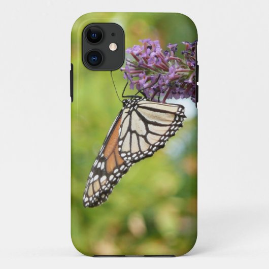 紫色の蝶々花に止まるオオカナダモナークバタフライ Case-Mate iPhoneケース (裏面)