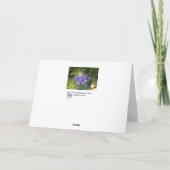 紫色の蝶クリスマスの年賀状 シーズンカード (裏面)