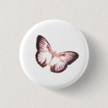 紫色の蝶ボタン