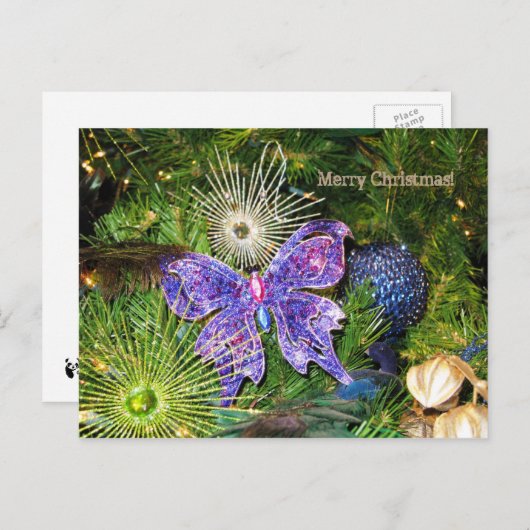 紫色の蝶郵便はがきとのメリークリスマス シーズンポストカード (正面/裏面)