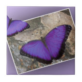 紫色の蝶 タイル (正面)