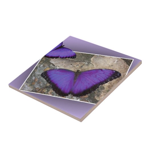 紫色の蝶 タイル (側面)