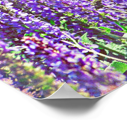 紫色の谷に ポスター (角)