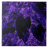 紫色の象の耳コロッカシアタロウ タイル (正面)